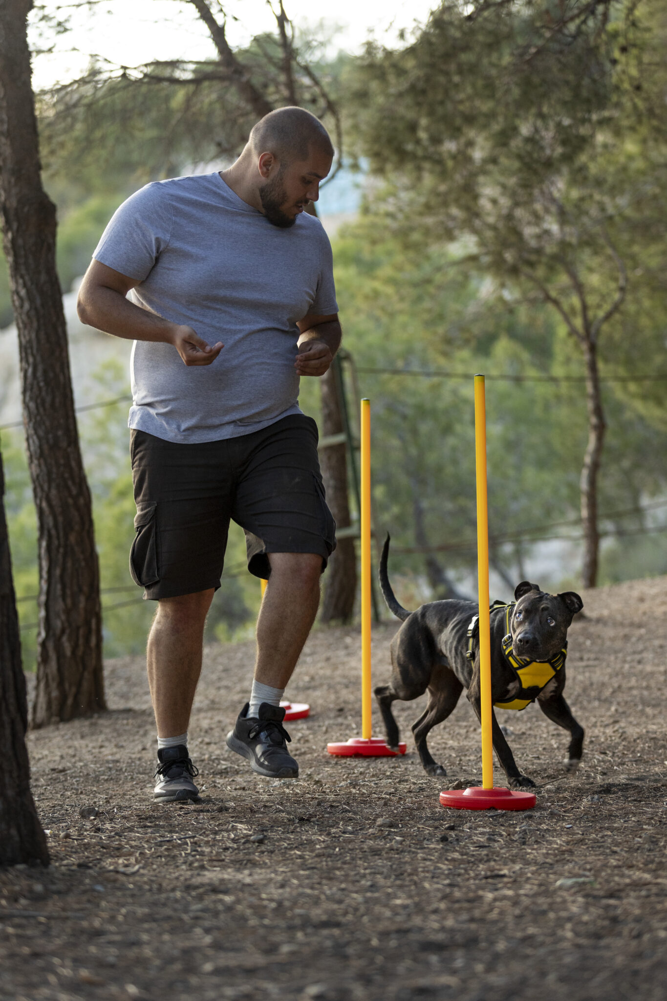 dog-trainer-outdoors-with-his-dog-session