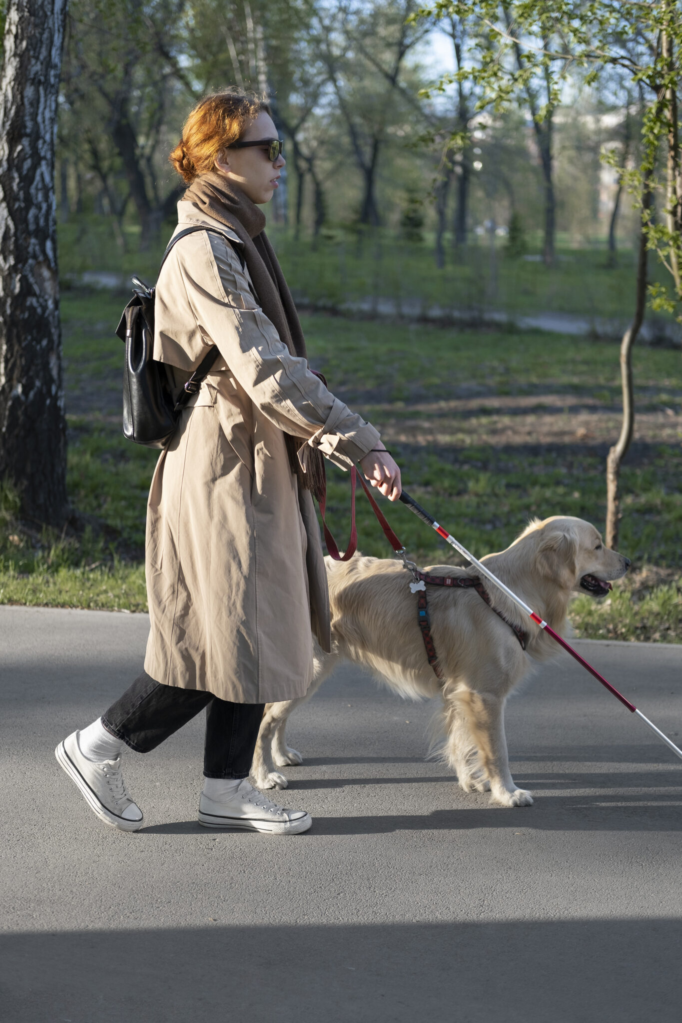 full-shot-blind-woman-walking-with-dog-cane